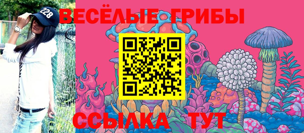 Псилоцибиновые грибы ЛСД  Вход с VPN  Городец 